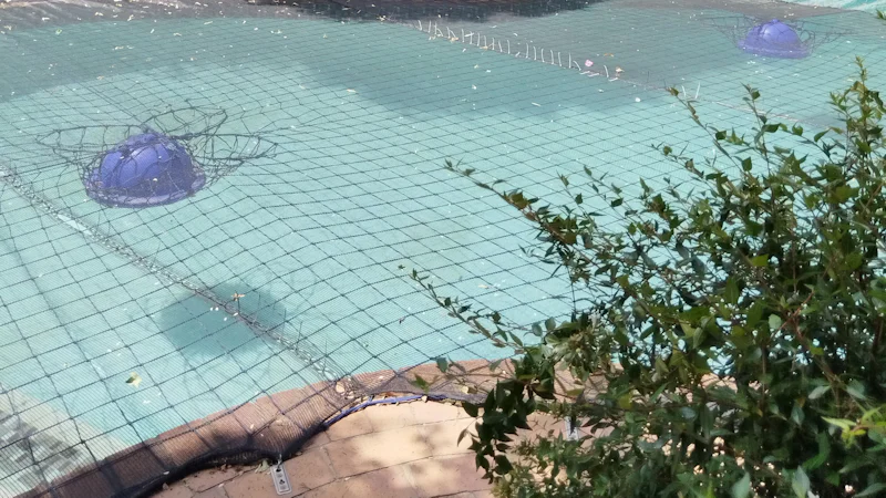 Piscina con red de protección y hojas en invierno
